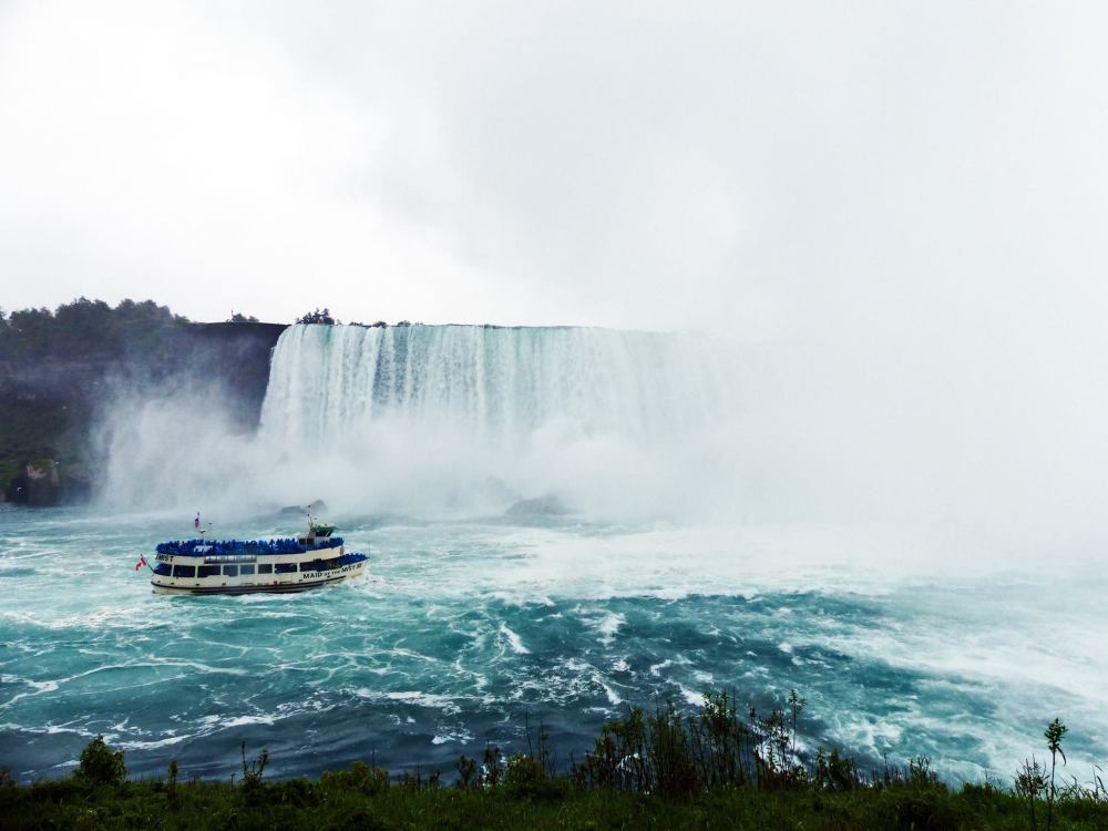 13433295_10210206392463120_3211583619662934731_o